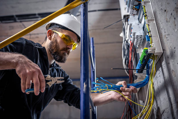 Best Electrician for Home Renovation  in Edwardsville, PA